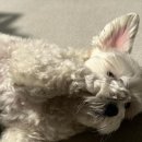 또또칼국수 이미지