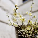 (주)선가