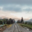 백송카센타 | [뉴질랜드워킹홀리데이 D+?] 크라이스트처치 정착 후 약 세 달. 워홀 상반기 정산.