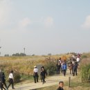 월드컵경기장역(6) 이미지