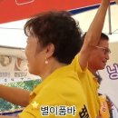 금산인삼 Daum카페