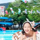 오림피아 수영장 이미지