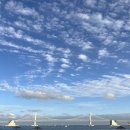 버니하우스 광안점 이미지