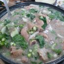 돈본날 이미지