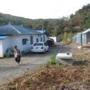 충남댁