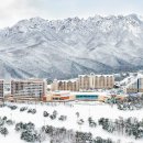 양양당구클럽 이미지