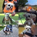 정미농장 이미지