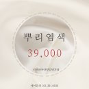젤라 이미지