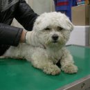 공덕119안전센터 이미지