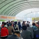 산동농장 이미지