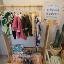 멍플레이스 | 강릉강아지수제간식 맛집, '멍슈슈' 교동 애견 간식 &amp; 케이크 솔직 후기!