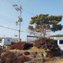 대구면사무소 이미지