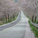 바다가 보이는 펜션 이미지