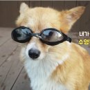 놀자 - 부평구 열우물로 26 | 놀자
