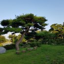 호숫가의 하얀집 이미지