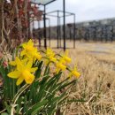 어린이 도예교실(오전) 이미지