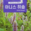 아니스