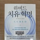 하버드약국 | [제프리 레디거의 『하버드 치유 혁명』을 읽다 5편] 뇌는 당신이 믿는 대로 구성된다