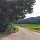 소현2리 티스토리