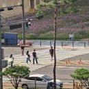 광교중앙로 이미지