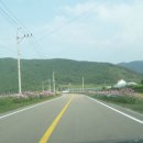 산청 동의보감촌 이미지