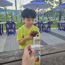 동아대 이룸 태권도 이미지