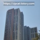 청운초교 정문 앞 | 동해 이편한세상 e편한세상 동해 아파트 임장 후기