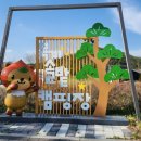 솔밭캠핑장 | 충주 목계솔밭 캠핑장 이용후기 25.4.20