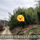 강촌목장 이미지