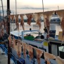 삼척항 해오름 민박 이미지