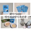 황금고양이 | [고양이 유산균] 입맛 까다로운 냥이도 뚝딱! '펫아이 1000'으로 고양이 설사 잡고 황금 맛동산 캔 후기