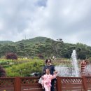큐리애견 | 계양 아이랑 가볼만한곳 계양산 장미원 주차 실시간