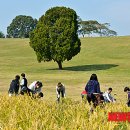 김영욱농장 이미지