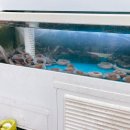 꼼서방 전부인 이미지