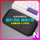 한손팜