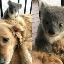 (주)인사이트미디어 이미지