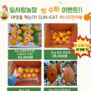 사랑농장 이미지