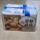 이런 복숭아는 처음 이미지