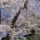 남산정미소 이미지