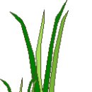 디자인클립 이미지