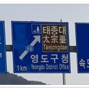 남항대교 하부 이미지