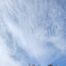 수정로+남한산성로 이미지