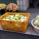 중1동주민센터 이미지