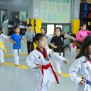 조대원태권도장 이미지
