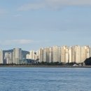 영종 헤럴드경제