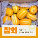 내내농수산 | 고당도 성주 참외 추천 산지직송 택배 풍요농수산 가정용 꿀참외