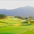 에이원 CC 이미지