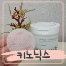 나도 - 영광군 천년로 4-1 | 키노닉스 진정패드 양배추패드 나도써본 후기
