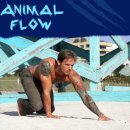 애니멀짐PT 이미지