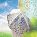 올데이플라워 - 목포시 텃골로33번길 92 | 올데이플라워